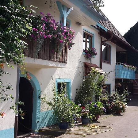 Ferienwohnung Rosenhof Broggingen Herbolzheim Exterior foto
