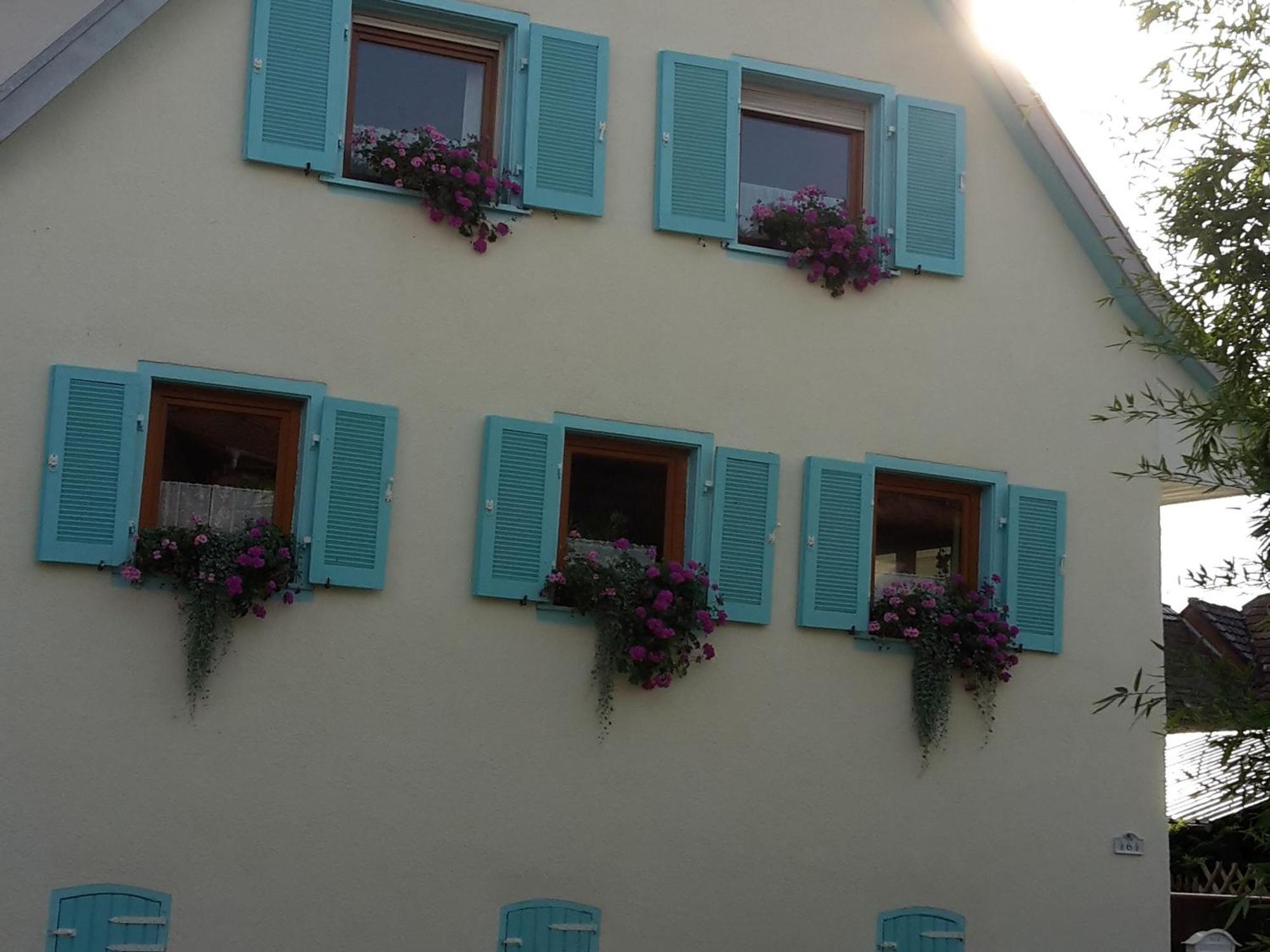 Ferienwohnung Rosenhof Broggingen Herbolzheim Exterior foto