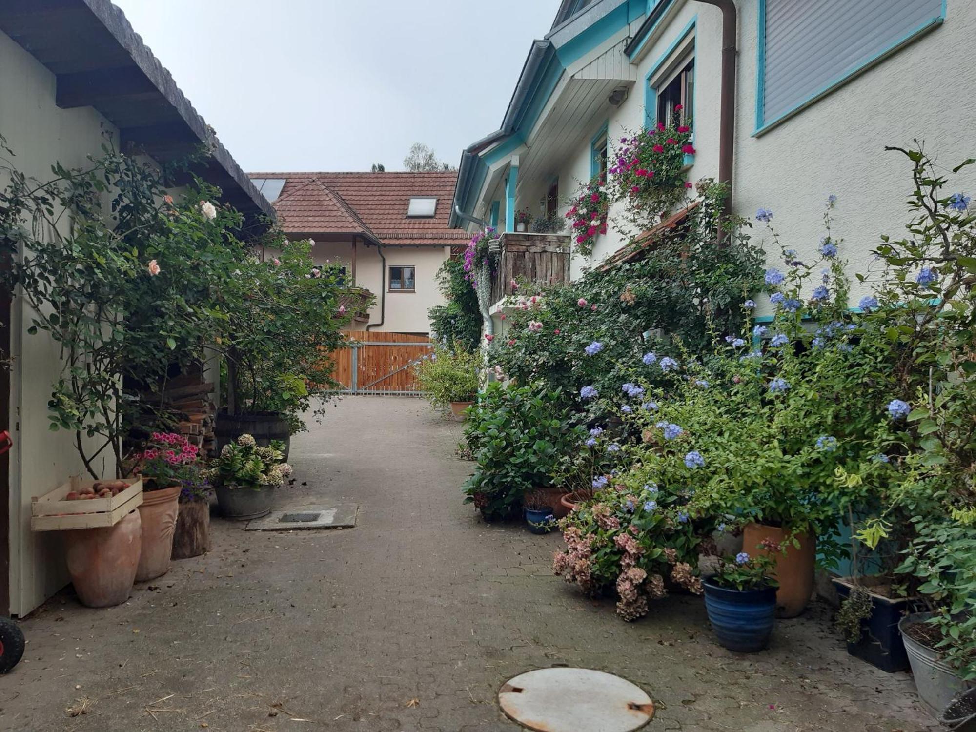 Ferienwohnung Rosenhof Broggingen Herbolzheim Exterior foto